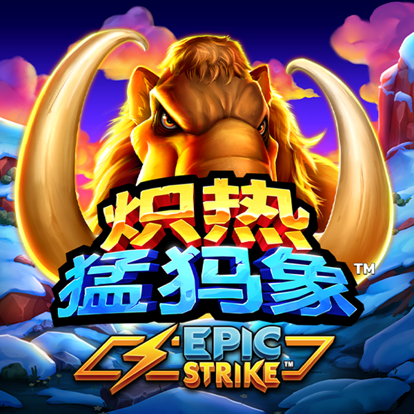 713贵宾会